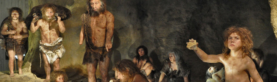 Neandertal museum Krapina - selling real estate
